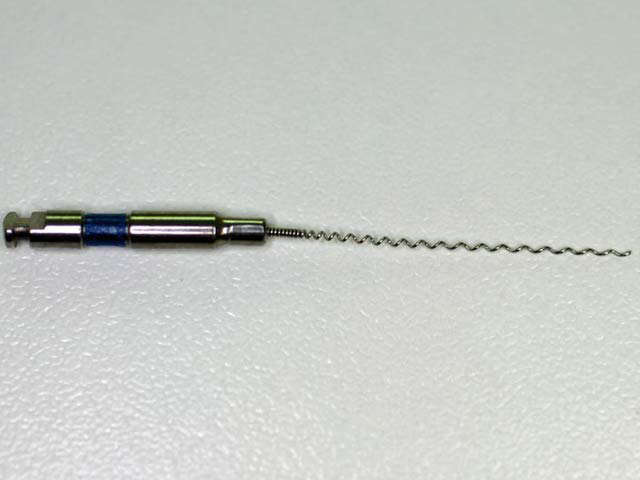 Lentulo Denta Beaute